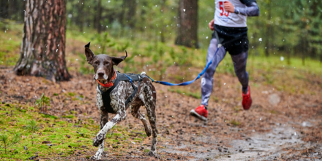 IronCan Chile debutará con un circuito de obstáculos para humanos y perros