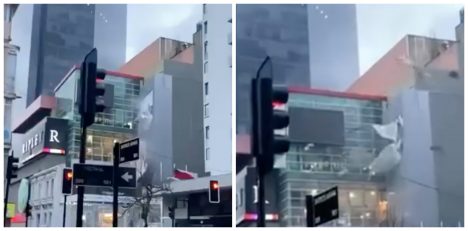 Temporal en el Biobío deja daños en Mall del Centro, caída de árboles y cortes de tránsito