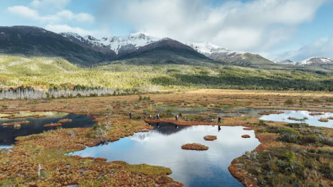 Cabo Froward revela un nuevo valor ambiental en sus turberas