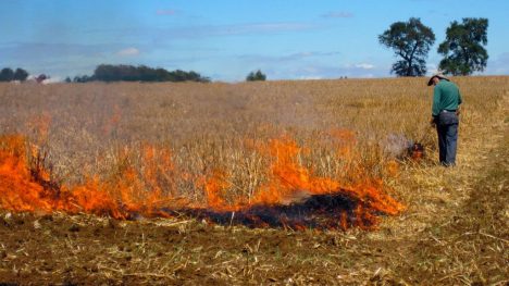 Voces ciudadanas piden la suspensión definitiva de las quemas agrícolas en Ñuble