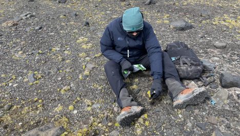 Científicos reconstruyen el primer mapa genético completo de una planta nativa de la Antártica