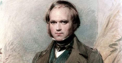Plantas carnívoras: Darwin lo predijo hace 150 años y la ciencia lo confirma