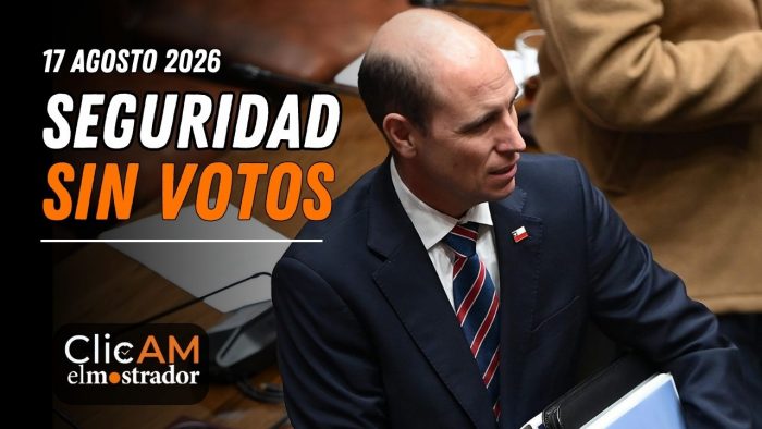 Reforma de seguridad divide al oficialismo y Yeomans gana la presidencia del Frente Amplio