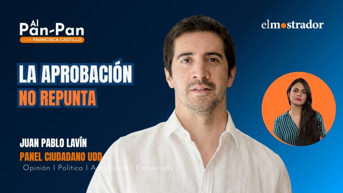Juan Pablo Lavín: reforma de seguridad frenó caída de Kast, pero aún no logra un repunte