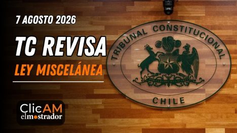 TC admite recursos contra la Ley Miscelánea y Kast busca votos para reforma de seguridad