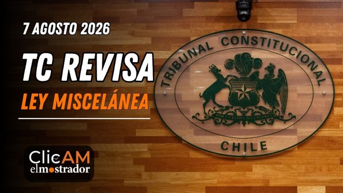 TC admite recursos contra la Ley Miscelánea y Kast busca votos para reforma de seguridad