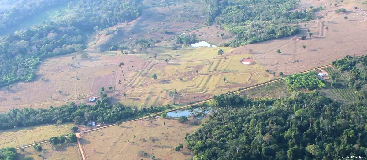 Amazonía pierde vegetación y aumenta su riesgo climático