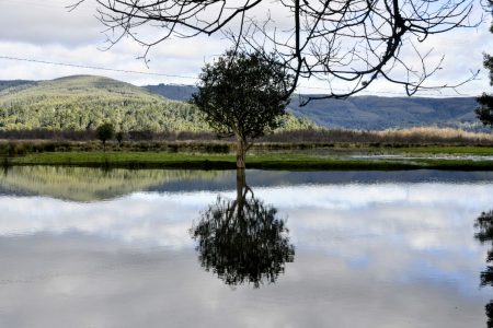 Ministerio de Agricultura anuncia emergencia en La Araucanía por daños del sistema frontal
