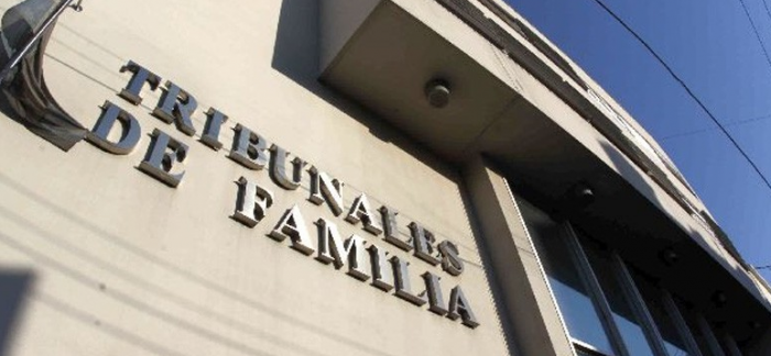 Denuncias falsas en VIF: el nuevo campo de batalla entre nacional-libertarios y republicanos