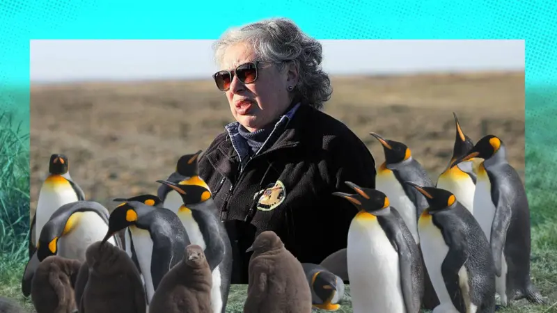 La parvularia que se convirtió en guardiana de los pingüinos rey en el sur de Chile