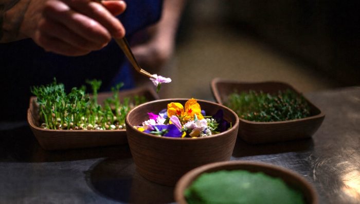 Copper Room estrena nueva carta inspirada en a cocina chilena con una mirada francesa