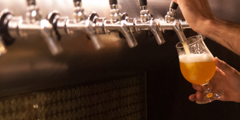Investigadores chilenos destacan el potencial de las levaduras silvestres para innovar en la cerveza