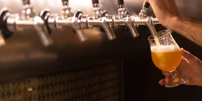 Investigadores chilenos destacan el potencial de las levaduras silvestres para innovar en la cerveza
