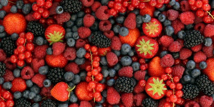 Berry House: la marca que busca llevar la frescura y calidad de los frutos rojos chilenos del campo