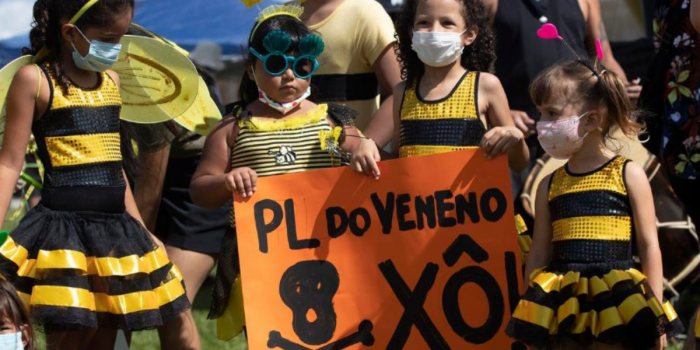 Un estudio vincula la exposición infantil a plaguicidas con la edad de la primera regla