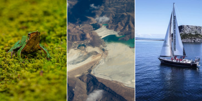Futuro verde en marcha: ranita de Darwin, agua de relaves reutilizable e hito del velero científico