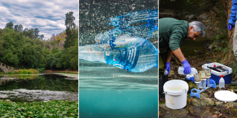 Futuro verde en marcha: laboratorio del Jardín Botánico, enzima que degrada plástico y ADN ambiental