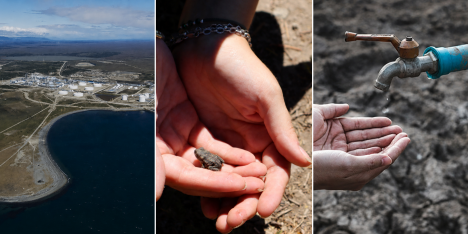 Futuro verde en marcha: Magallanes e hidrógeno verde, conservación de anfibios y adaptación hídrica