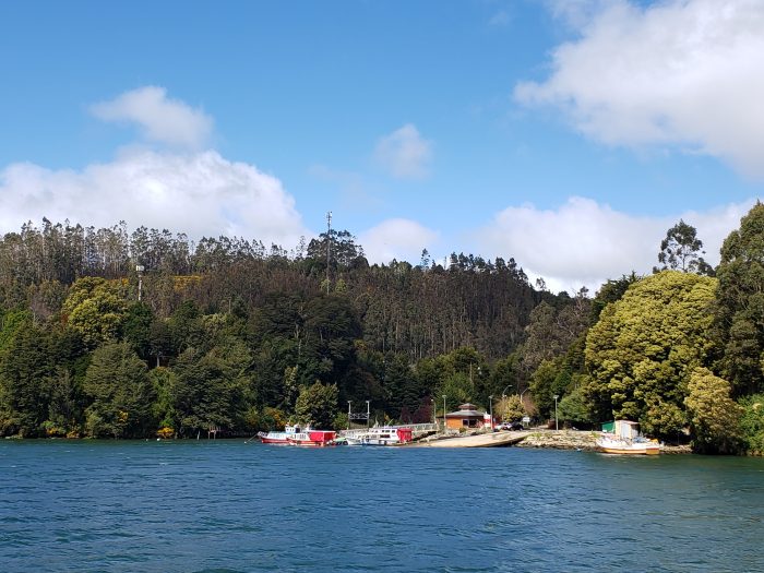Ley de Fomento Forestal ¿para qué y para quiénes?