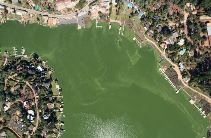 Contraloría alerta “insuficiente gobernanza ambiental” en crisis del Lago Vichuquén