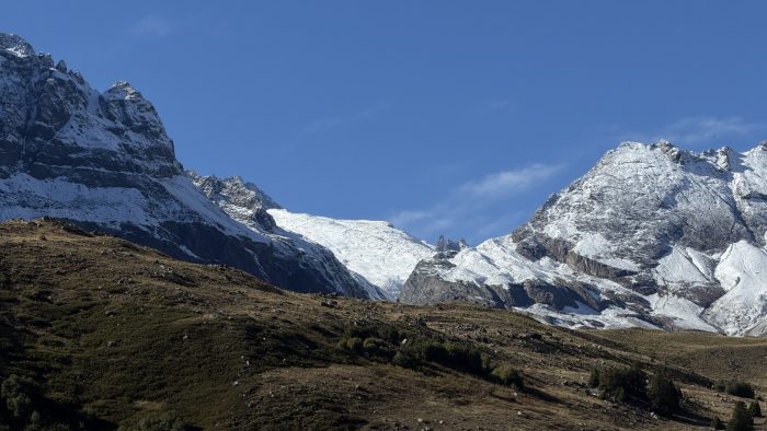 Día de los Parques Nacionales: por qué estas áreas son clave para proteger los ecosistemas de Chile