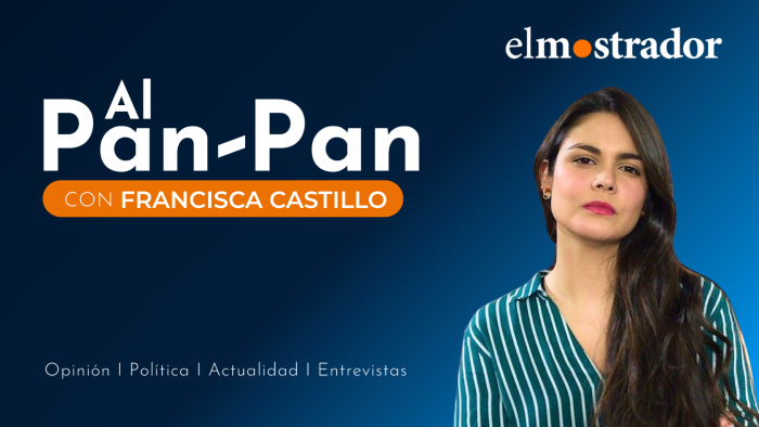 Al Pan Pan: Cuestionamientos transversales a la reforma de seguridad del Gobierno