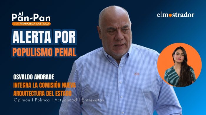 Andrade: Gobierno convirtió su “holgura política” en “descrédito” por reforma de seguridad