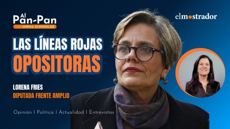 Diputada Fries fija línea roja: acusa al Gobierno de usar reformas para esquivar al TC