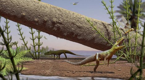 El fósil ‘perdido’ de una nueva especie de reptil revela pistas sobre antepasados de los dinosaurios