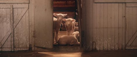Documental "Al sur del invierno está la nieve"