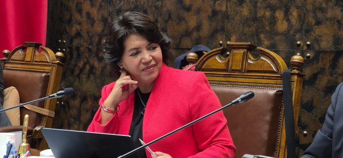 Senadora Provoste (DC) presidirá subcomisión clave para el Presupuesto 2027