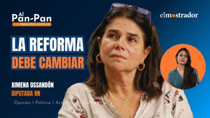 Ossandón y reforma de Arrau: “O la retiramos completa y la hacemos entera de nuevo"