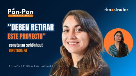Schonhaut pide retirar reforma de seguridad: “Vulnera profundamente la democracia”