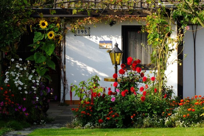 Cómo cuidar las plantas con lluvias intensas y frío: qué hacer con el jardín antes de la primavera