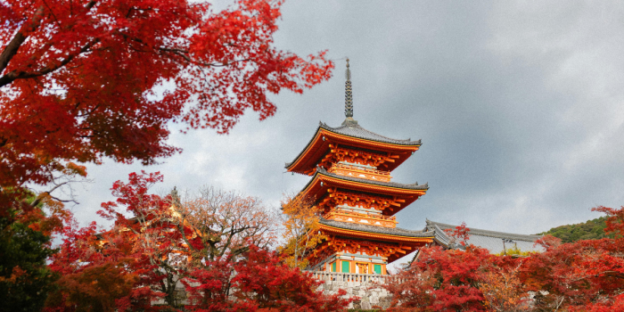 Japón alcanza récord de turistas en julio pese a fuerte caída de visitantes chinos