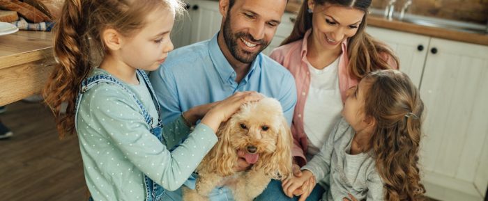 De la madriguera al sofá: la evolución del perro junto a las personas