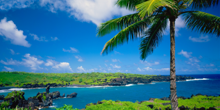 Maui: el destino hawaiano que combina naturaleza, playas y aventura
