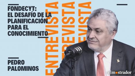Rector USACH, Pedro Palominos: “Aquí se planifica cada cuatro años y eso no sirve para un Estado"