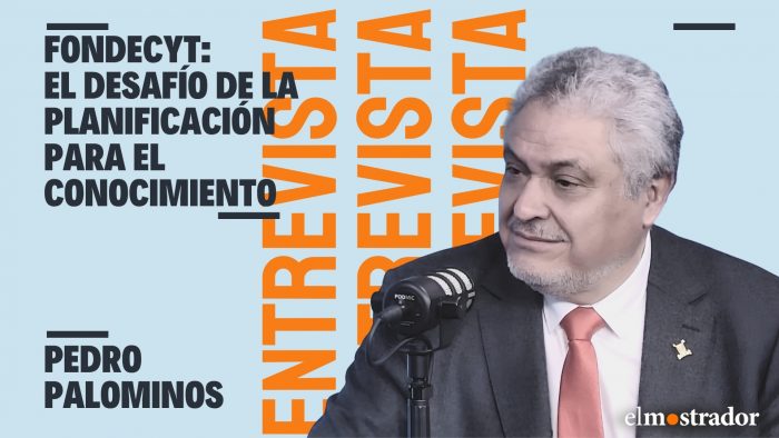 Rector USACH, Pedro Palominos: “Aquí se planifica cada cuatro años y eso no sirve para un Estado"