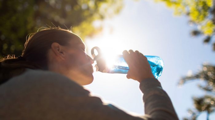 Anticipan primavera cálida y húmeda seguida de un verano con temperaturas extremas