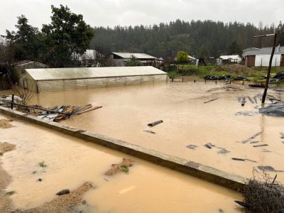 Gremios del agro critican exclusión de Ñuble en decreto de emergencia agrícola