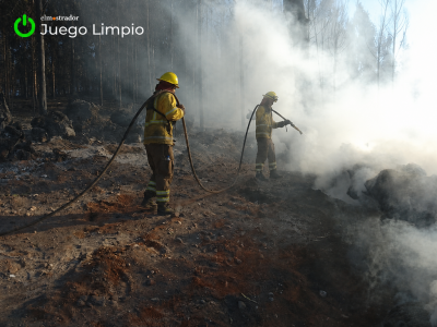 Chile corre contra el fuego: la ley que busca llegar antes que el próximo verano