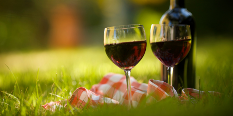 Día del Vino Chileno: una experiencia de enoturismo para celebrar en septiembre