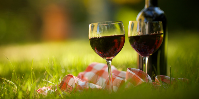 Día del Vino Chileno: una experiencia de enoturismo para celebrar en septiembre