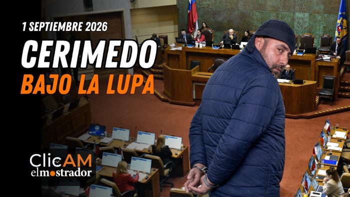 Caso Cerimedo llega a la Cámara y Gobierno desacelera su reforma de seguridad
