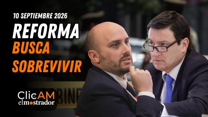Reforma de seguridad reduce sus ejes y chats reabren arista Chadwick