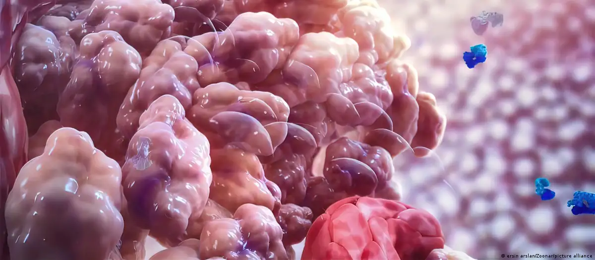 Descubren cómo el cáncer puede resistir la inmunoterapia
