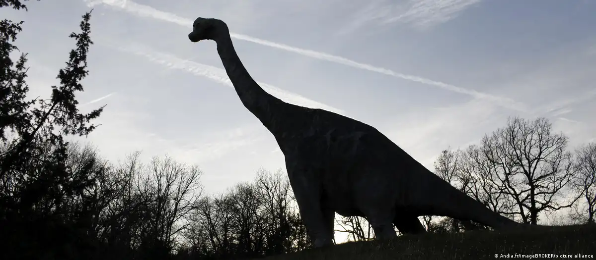 Científicos confirman: el diplodocus también vivió en Europa