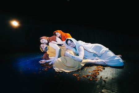 Obra "Alfonso, un Pájaro en la Memoria" en Teatro Biobio