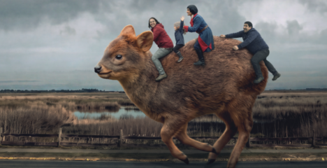 Festival Internacional de Cine de Valdivia